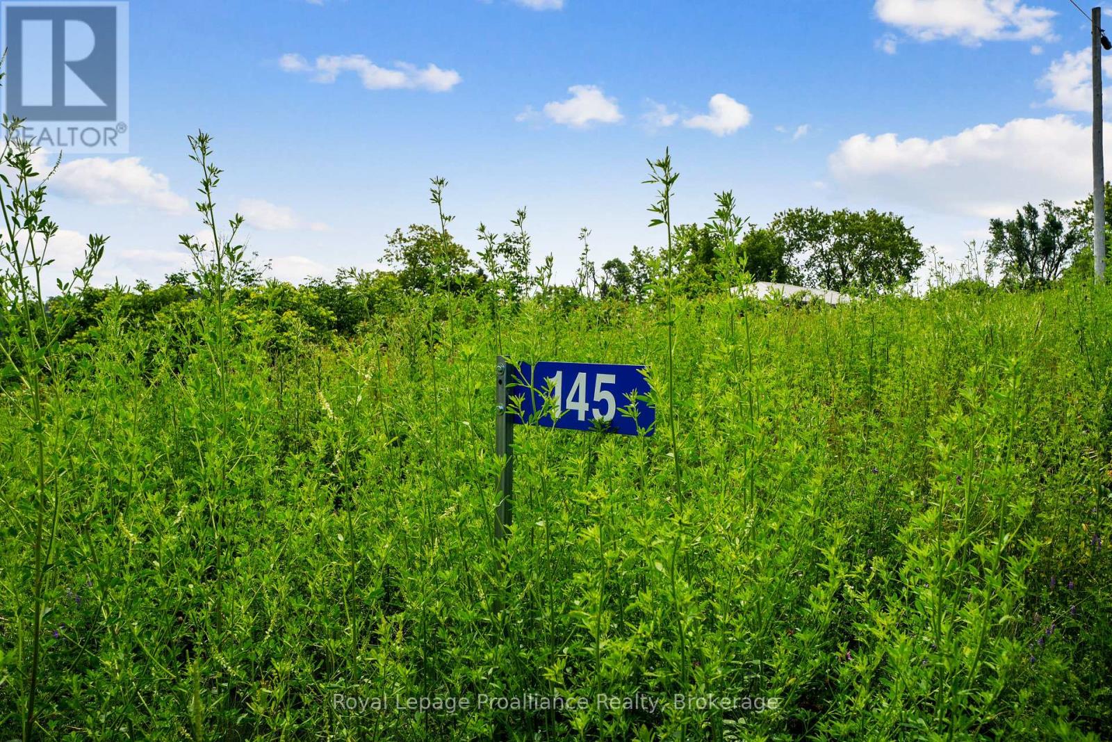 145 Portage Street Property Photo 4