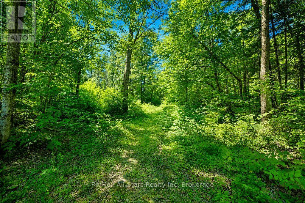 1883 Forest Lake Drive Property Photo 43