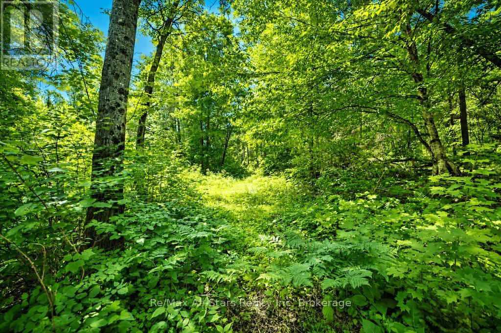 1883 Forest Lake Drive Property Photo 44