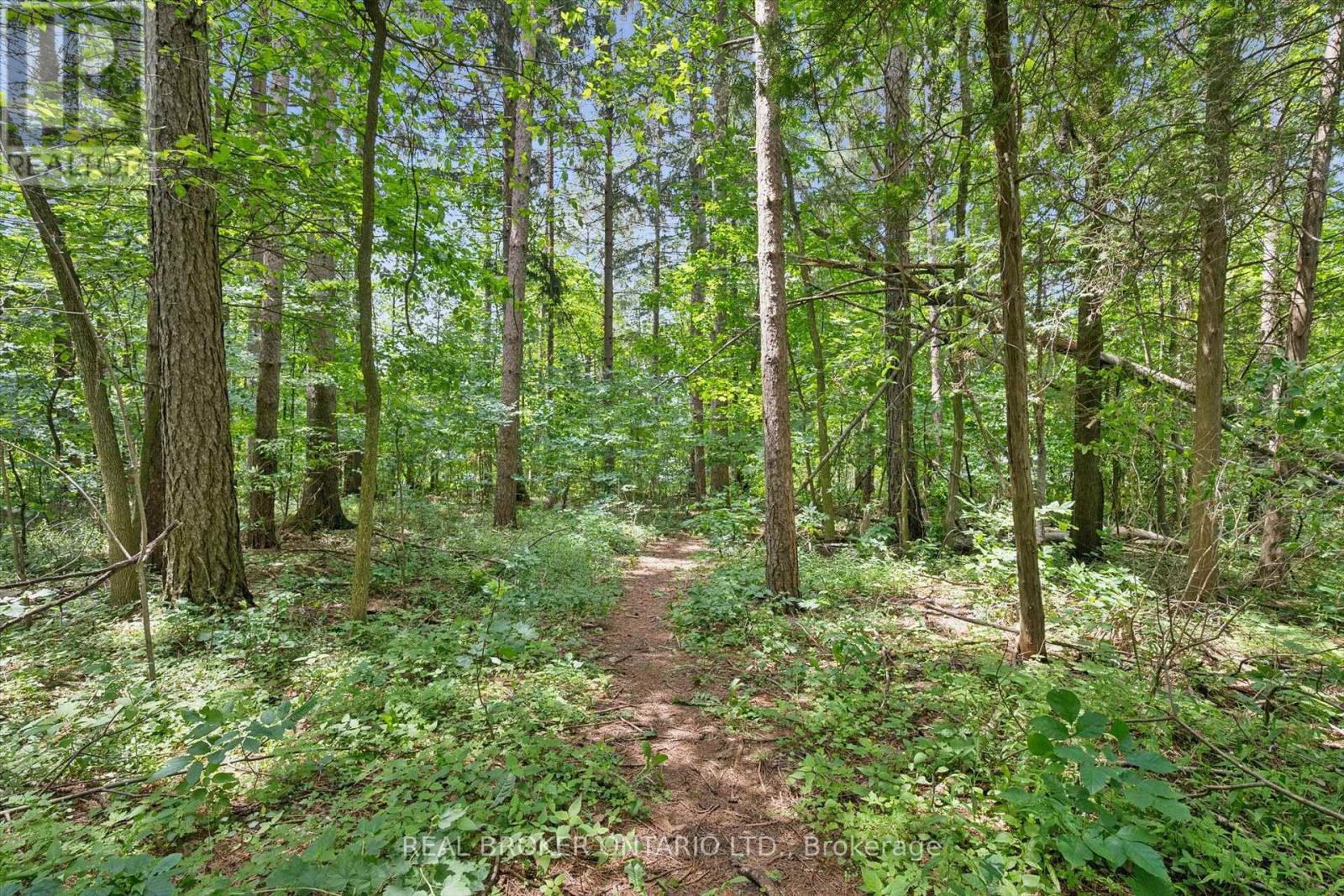 127 Cedar Crescent Property Photo 19