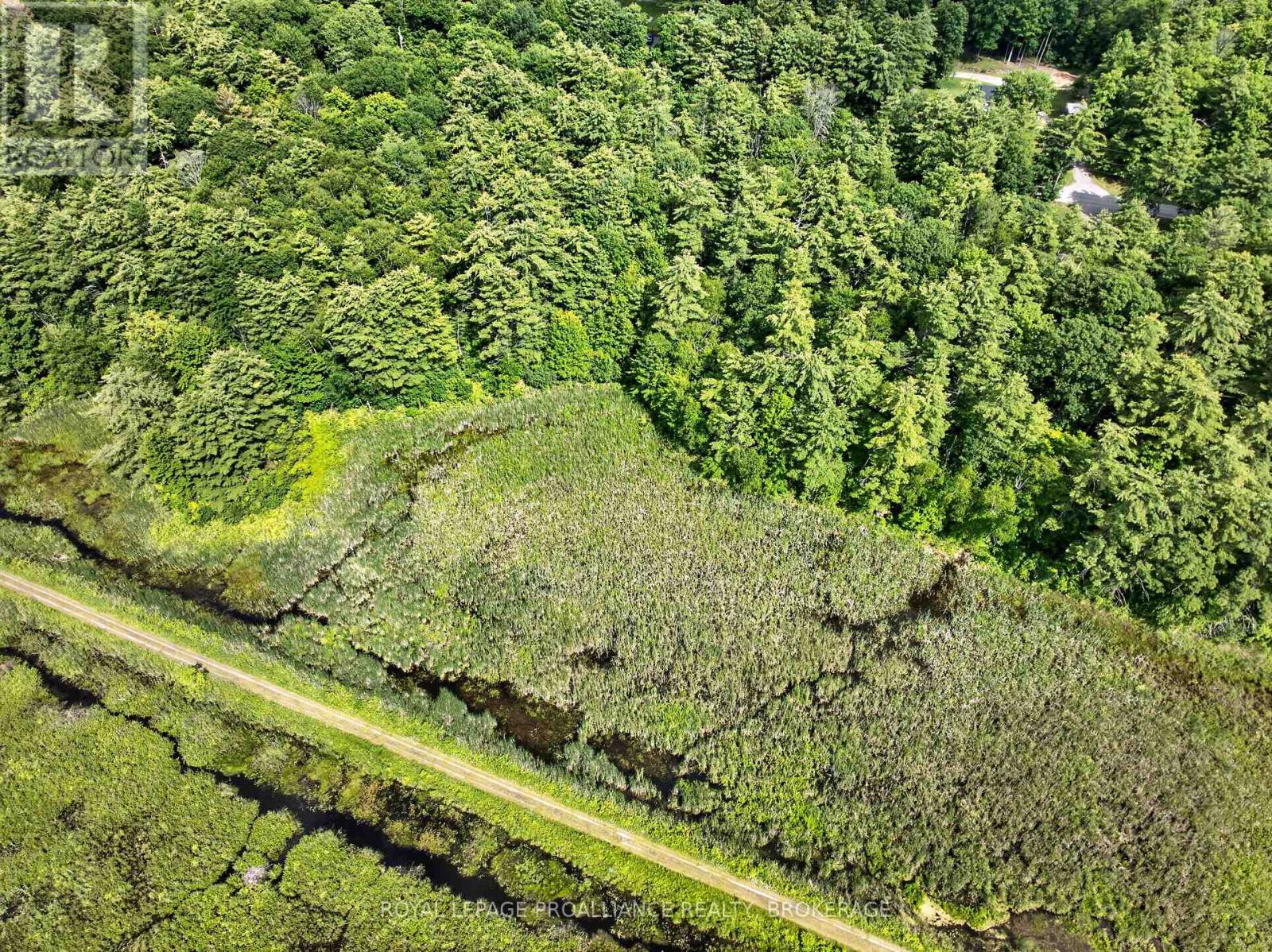 Pt Lt 18 Clear Lake Road Property Photo 12