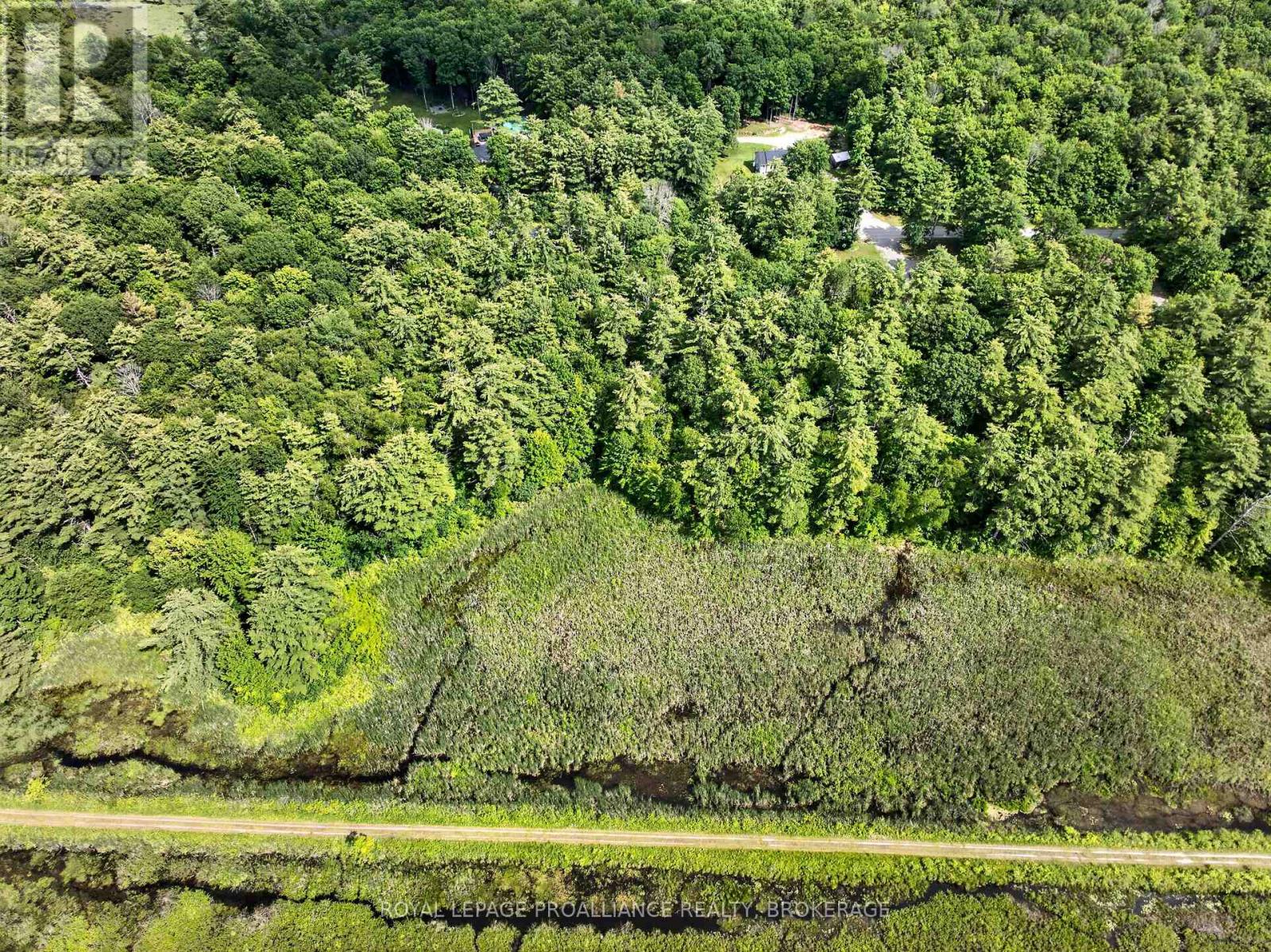 Pt Lt 18 Clear Lake Road Property Photo 13