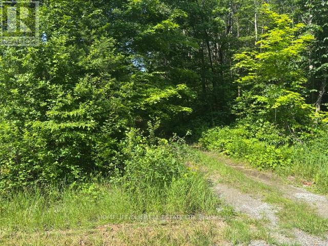 8300 Klitbo Road Property Photo 5