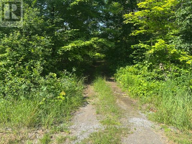 8300 Klitbo Road Property Photo 6