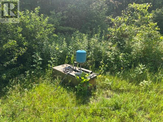 8300 Klitbo Road Property Photo 10