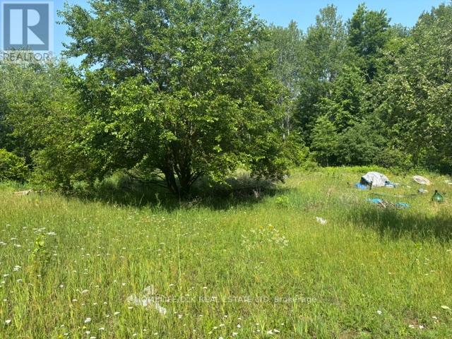 8300 Klitbo Road Property Photo 11