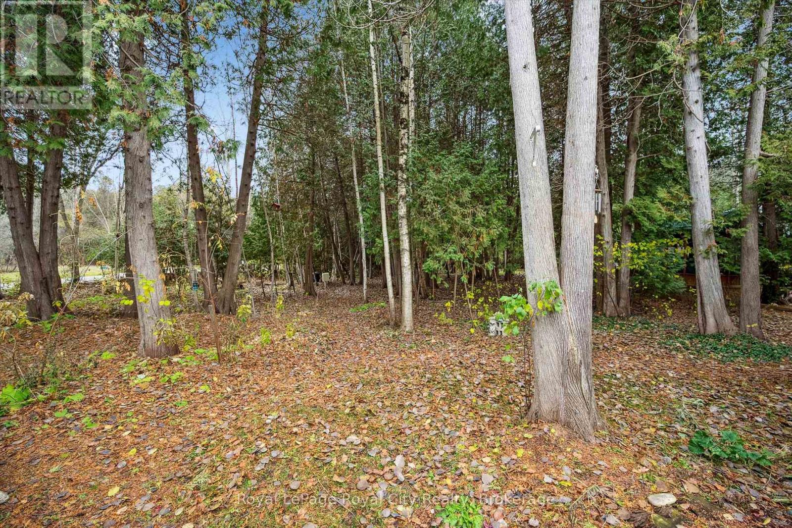 10 Spruce Avenue Property Photo 26