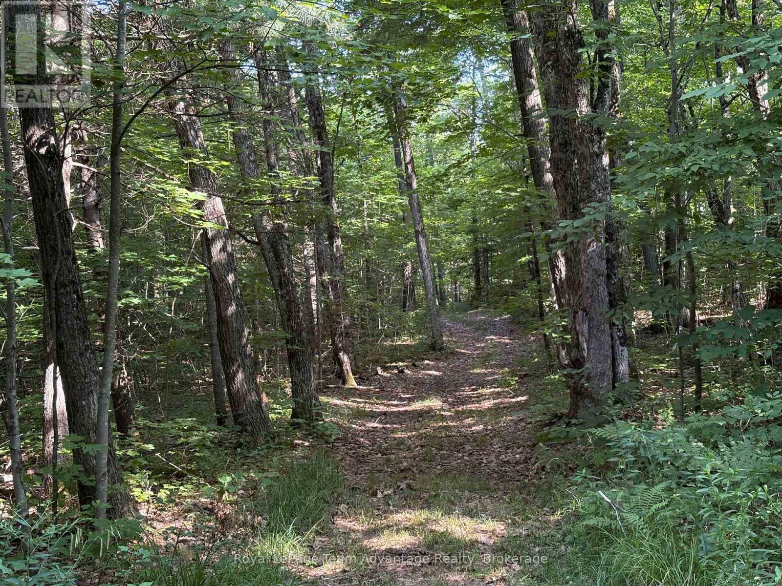 558 518 Highway Property Photo 49