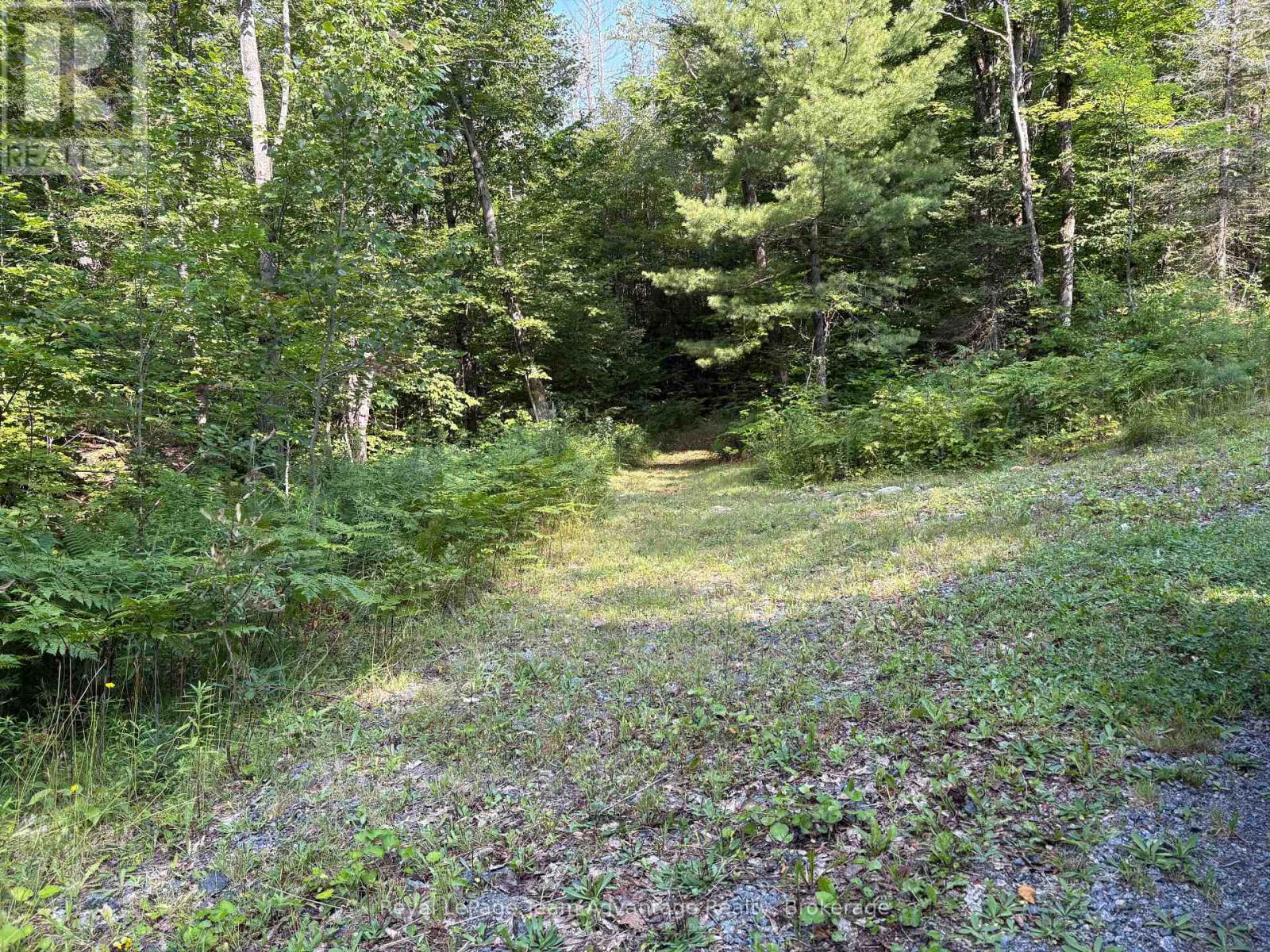 558 518 Highway Property Photo 50