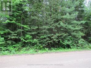 Pt Lt 49 Old Moore Lake Road Property Photo 1