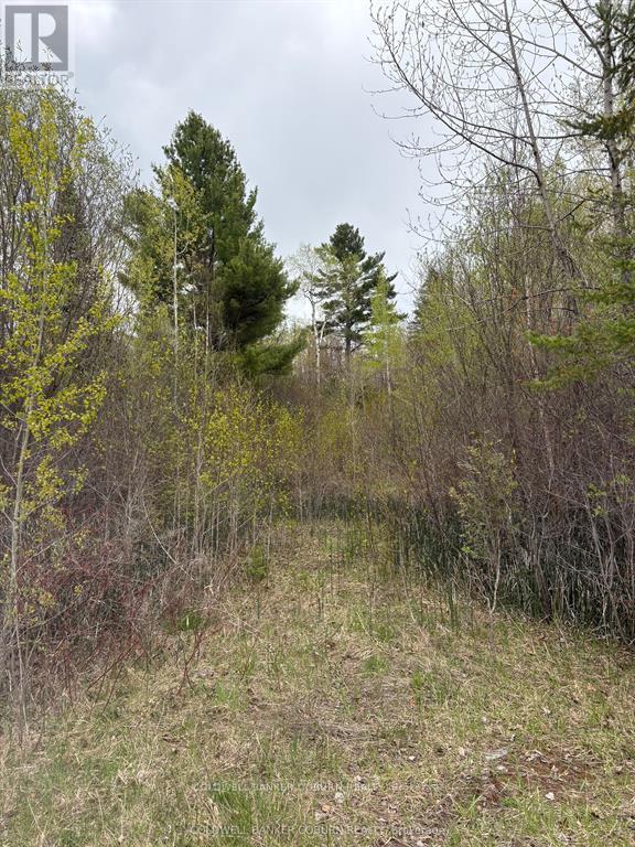 2035 Ventnor Road Property Photo 1