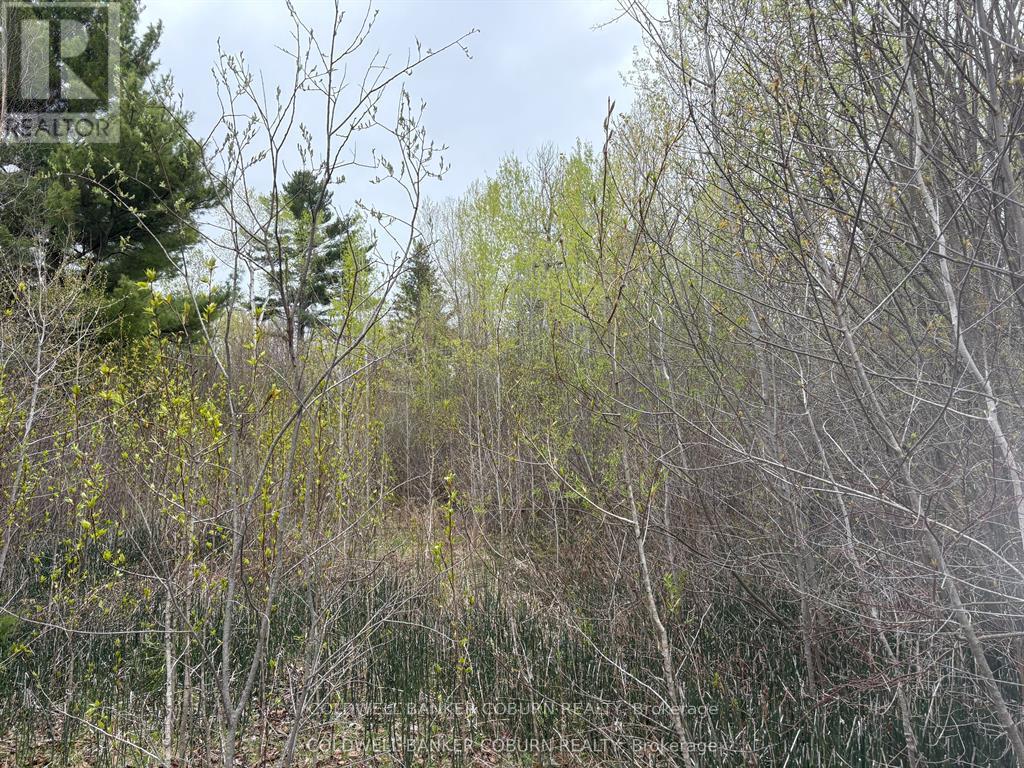 2035 Ventnor Road Property Photo 4