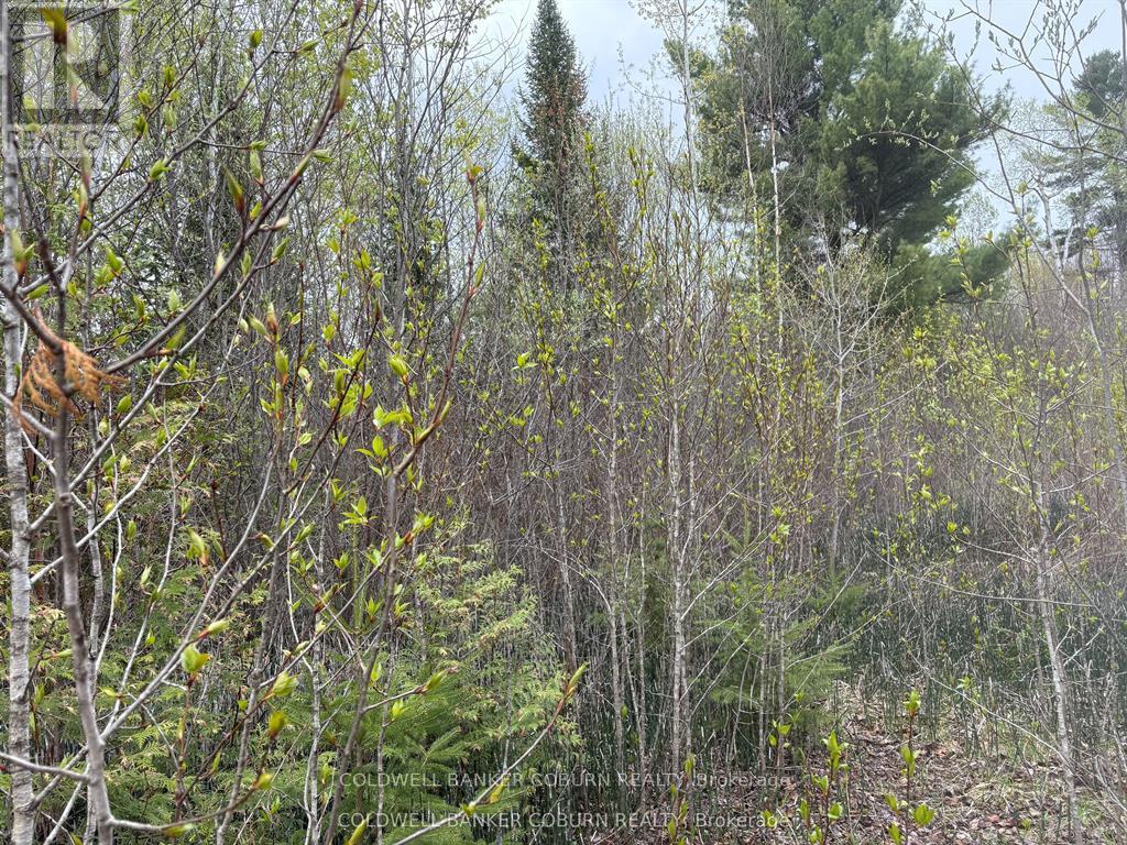 2035 Ventnor Road Property Photo 5