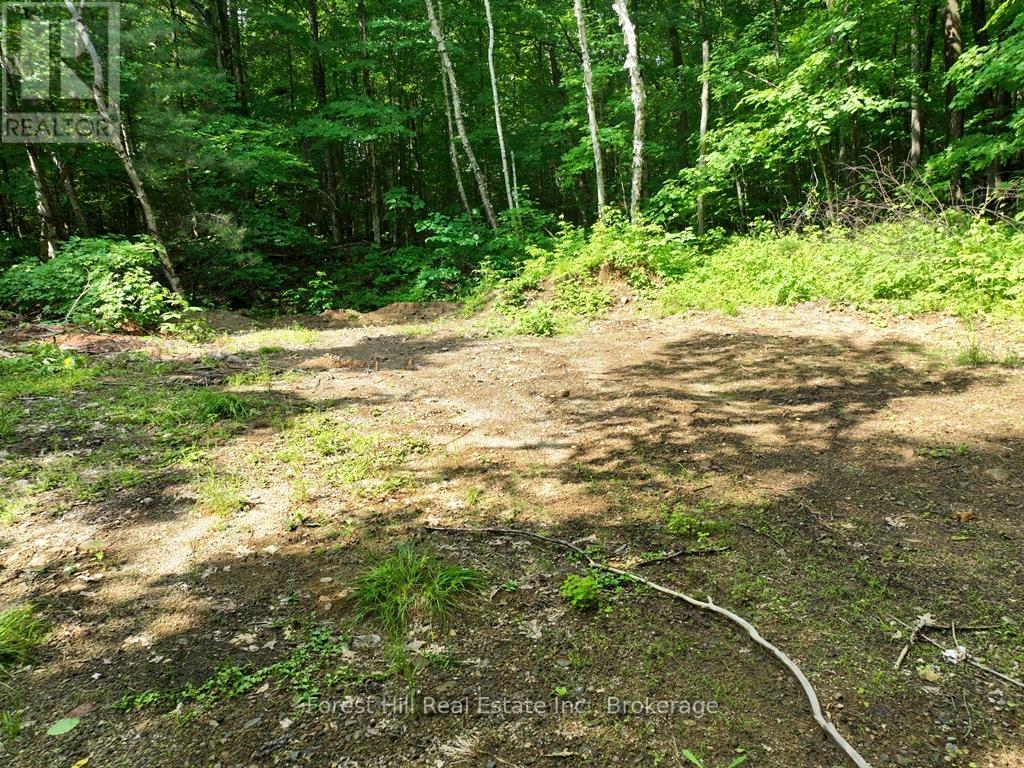 0 Alice Drive Property Photo 36