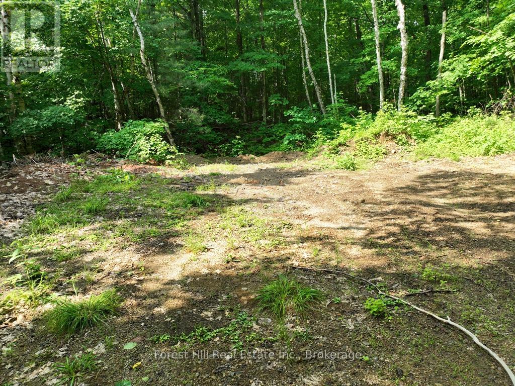 0 Alice Drive Property Photo 37