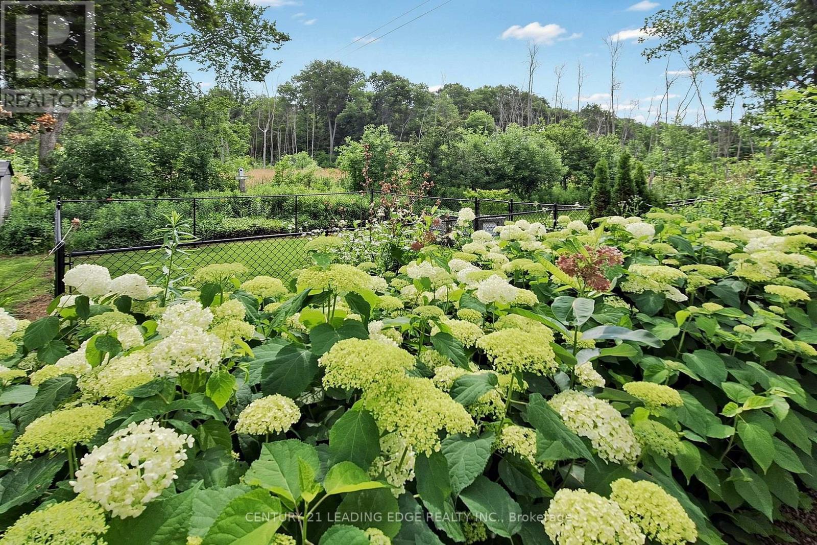 134 C Mudcat Road Property Photo 13