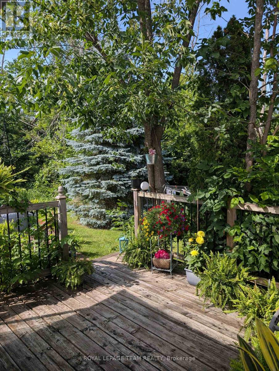 4 Black Walnut Road Property Photo 31