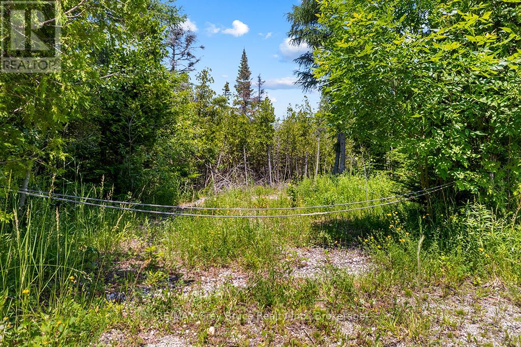 6 Island View Road Property Photo 9