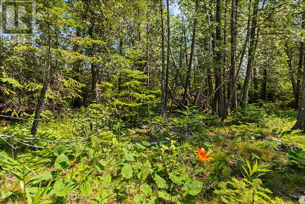 6 Island View Road Property Photo 17