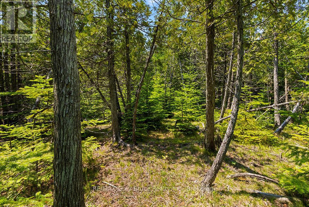 6 Island View Road Property Photo 19