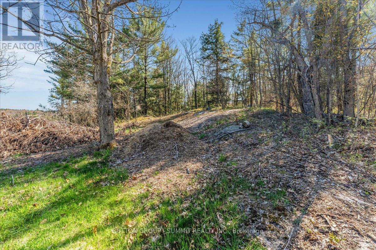 49 Pineridge Drive Property Photo 14