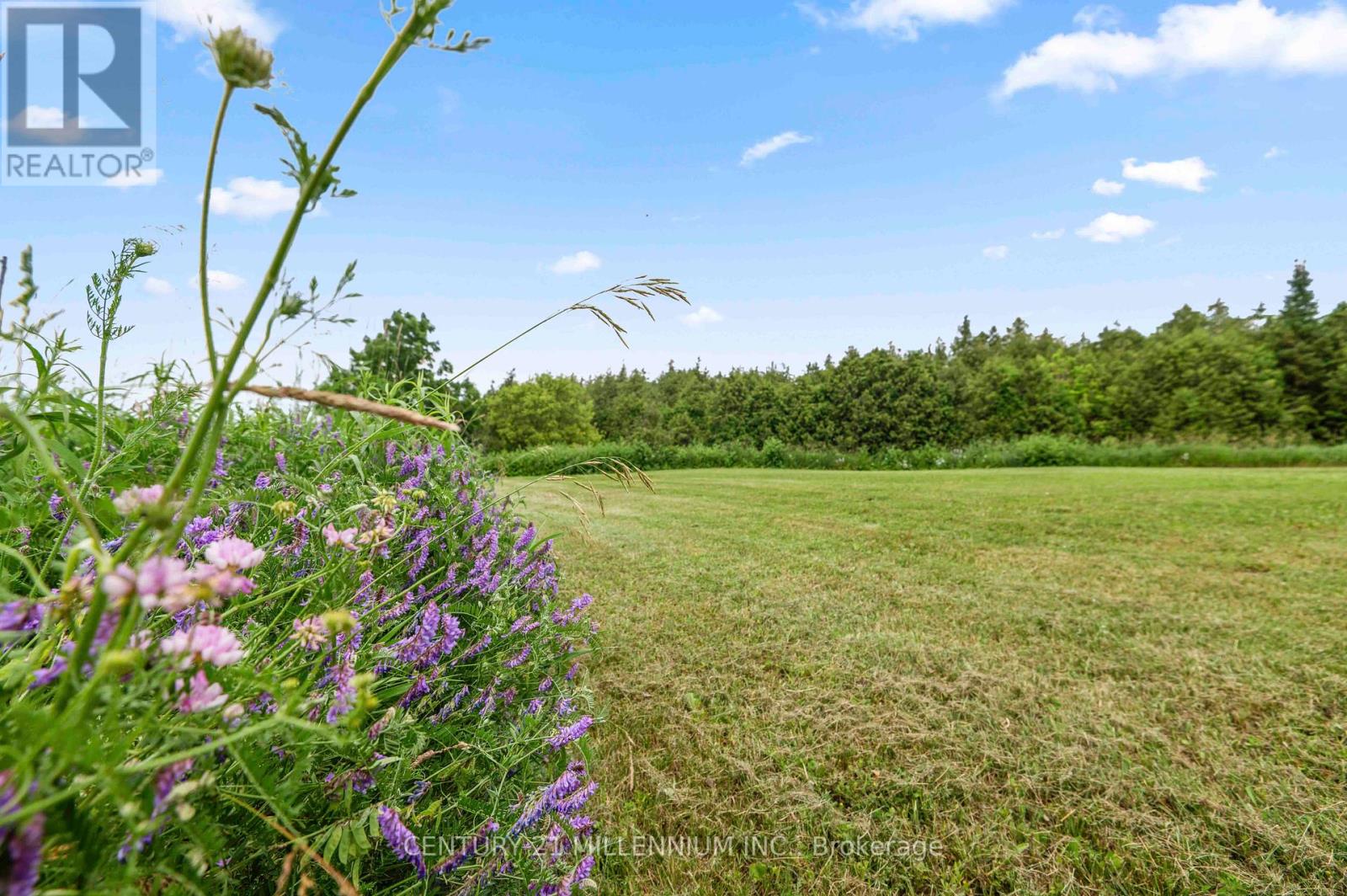 173413 County Road 25 Road Property Photo 8