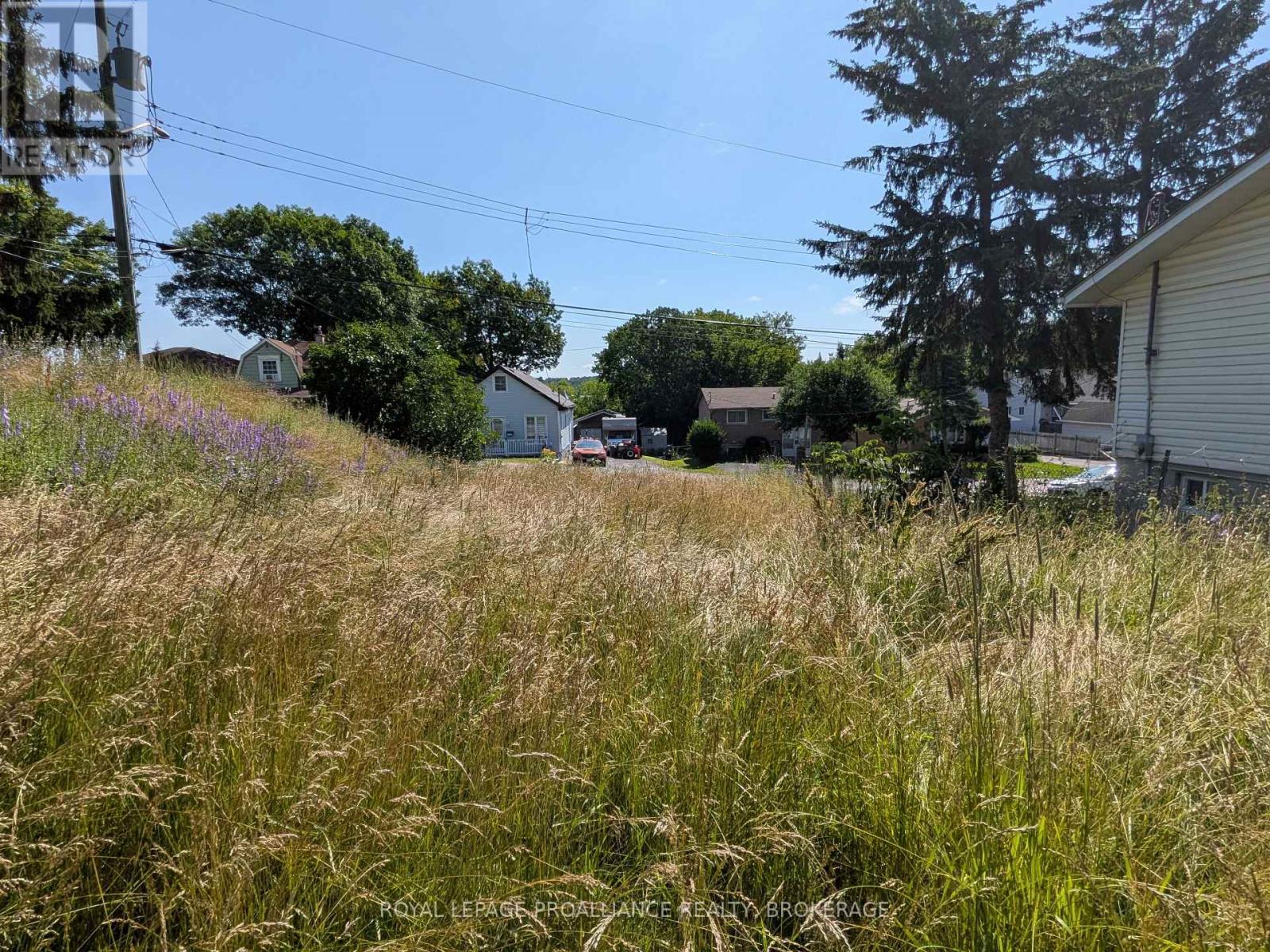 20 Shaw Street Property Photo 5