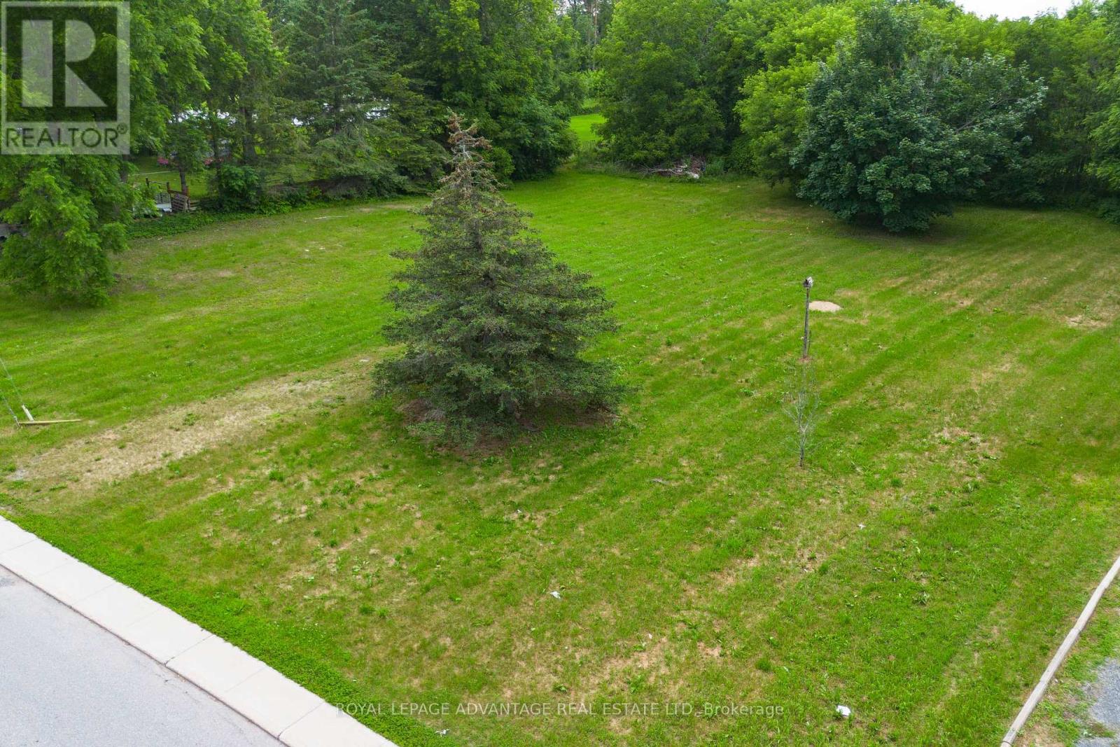 10561 Main Street Property Photo 13