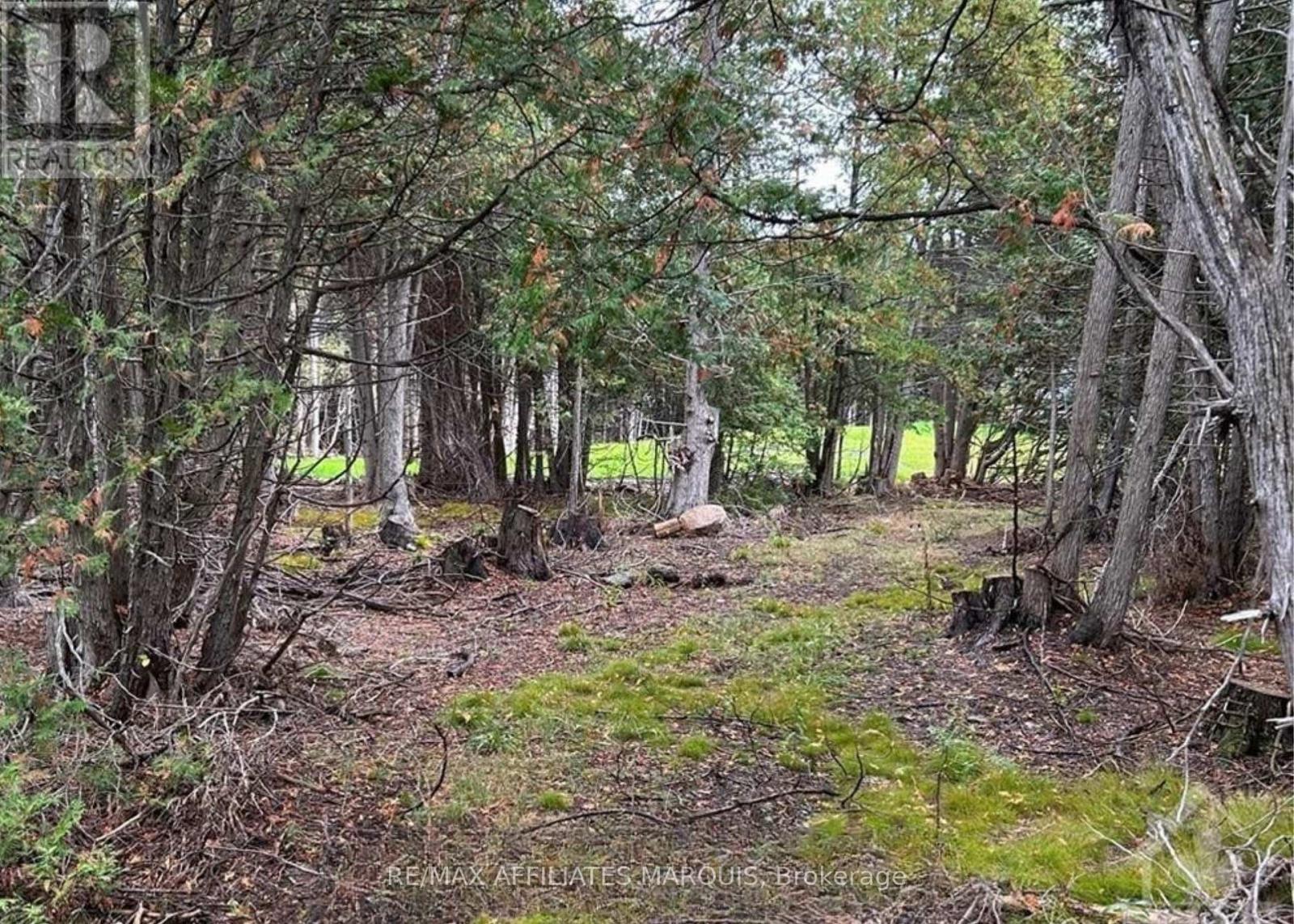 0 Rocksprings Road Property Photo 4