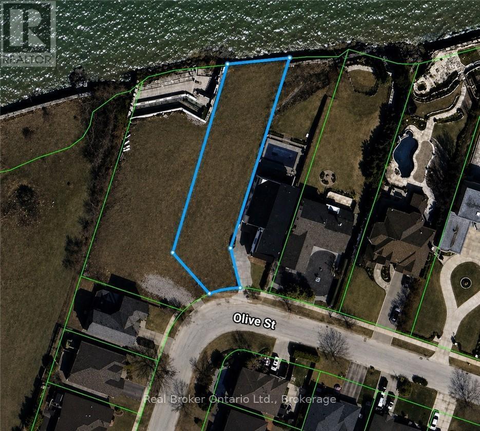136a Olive Street Property Photo 2