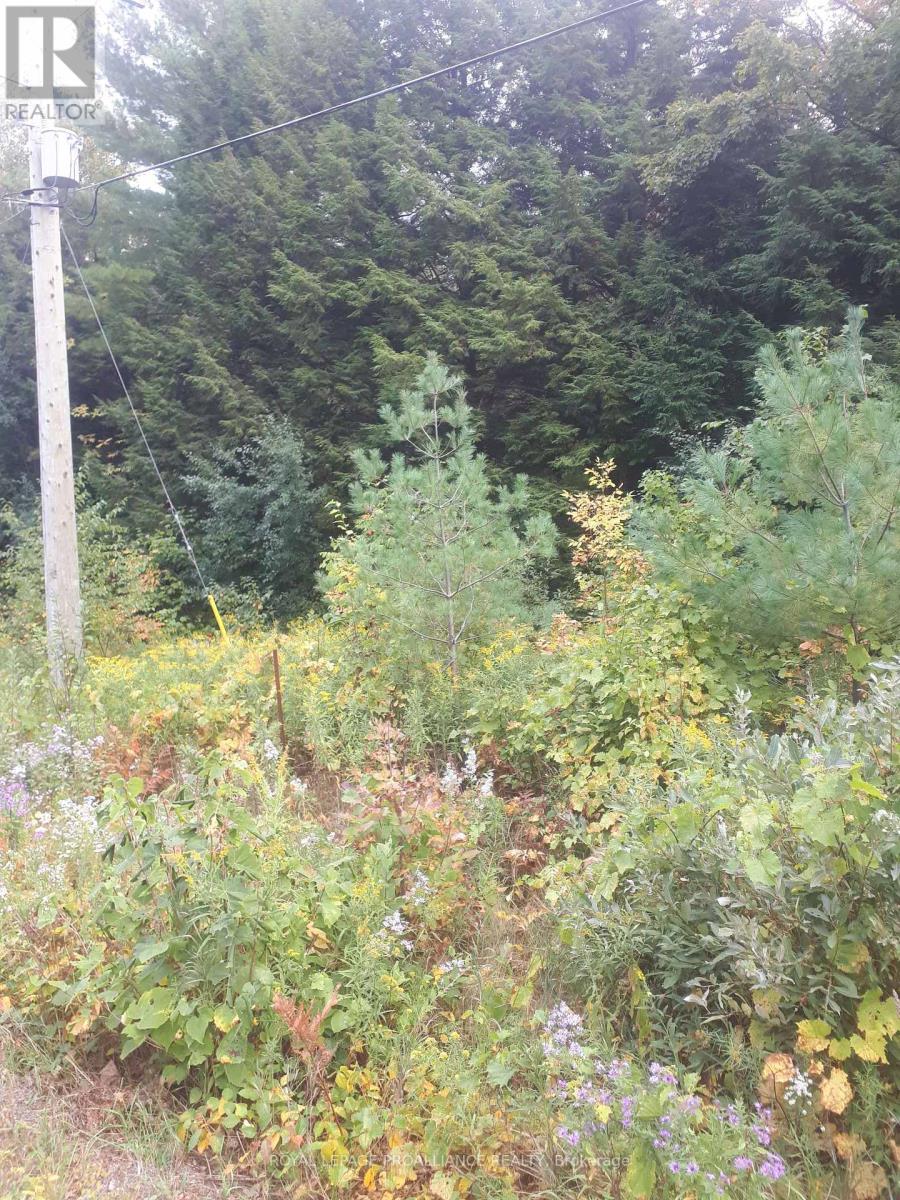 Pt Lt 2 Ganaraska Road Property Photo 4