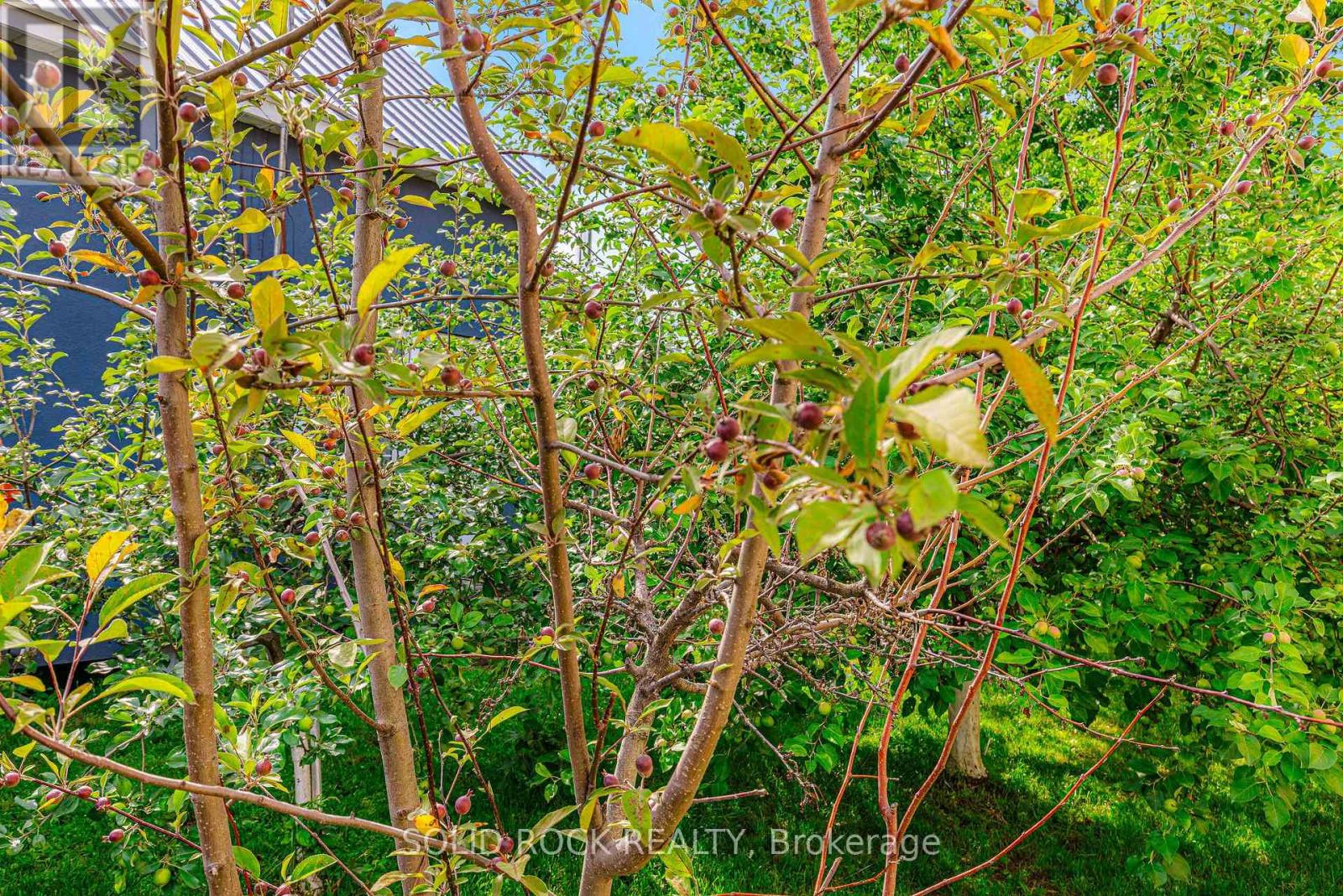 3022 John Street Property Photo 6