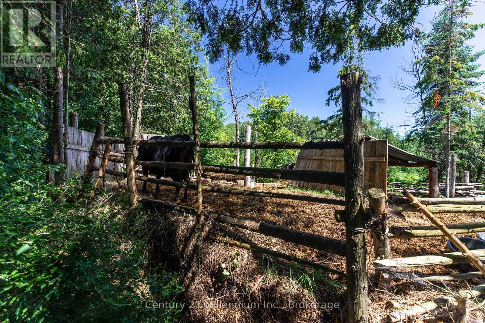 612608 Sideroad 61 Property Photo 14