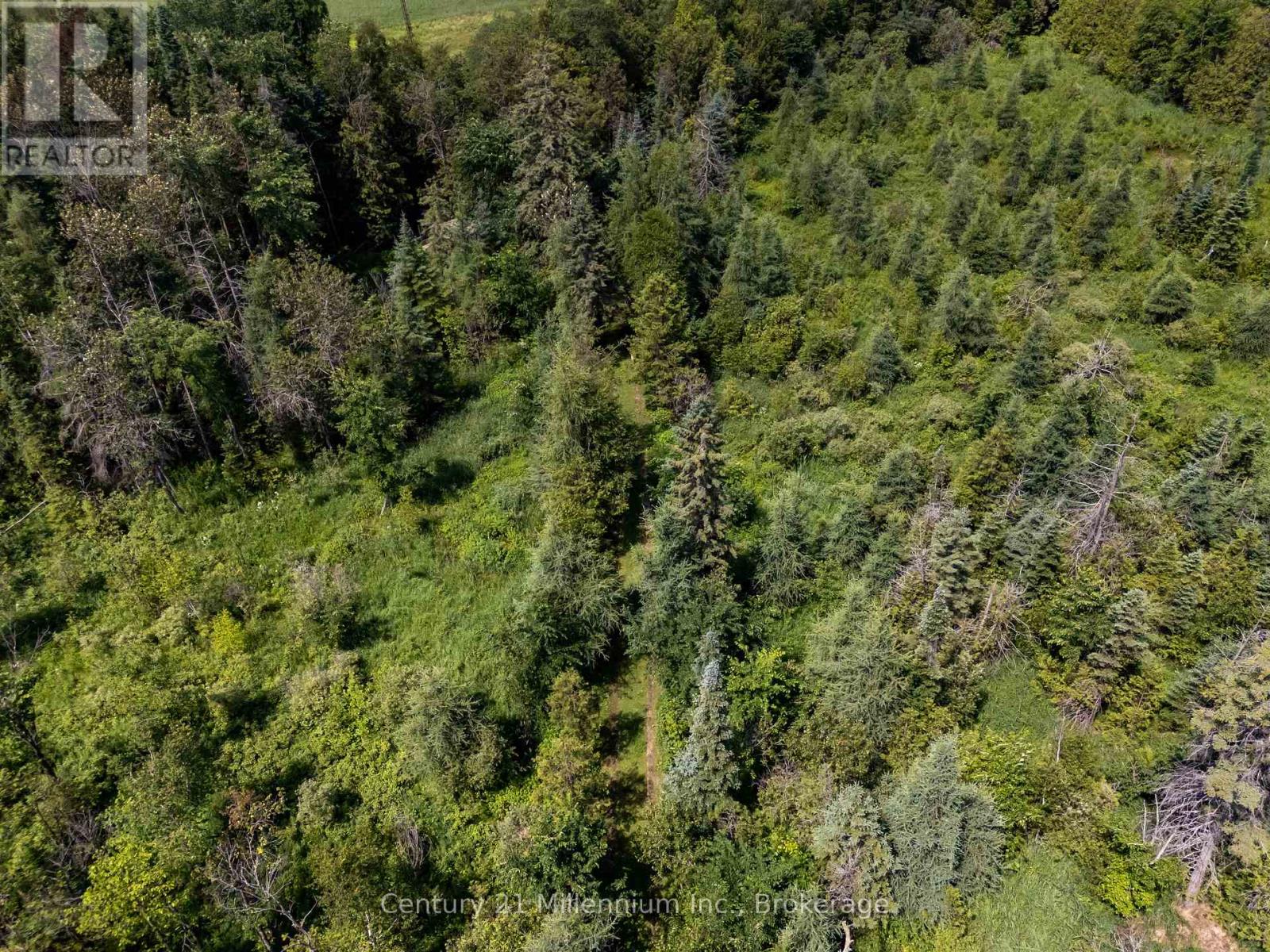612608 Sideroad 61 Property Photo 36