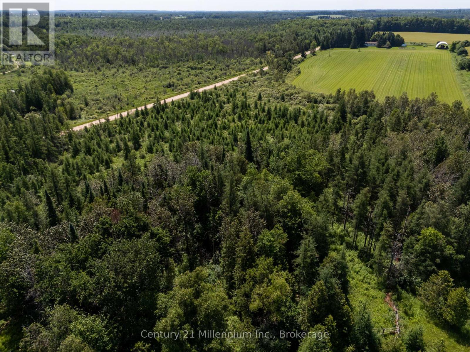 612608 Sideroad 61 Property Photo 46