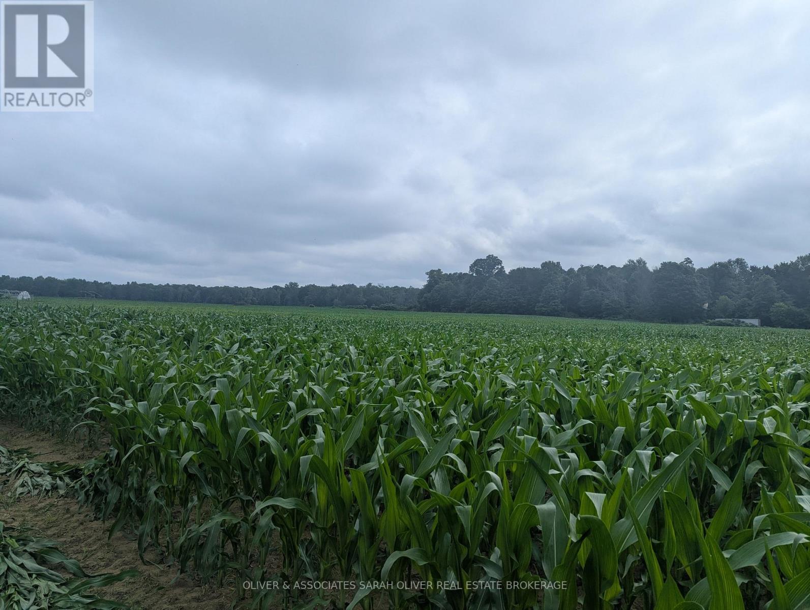 4688 Godby Road Property Photo 2