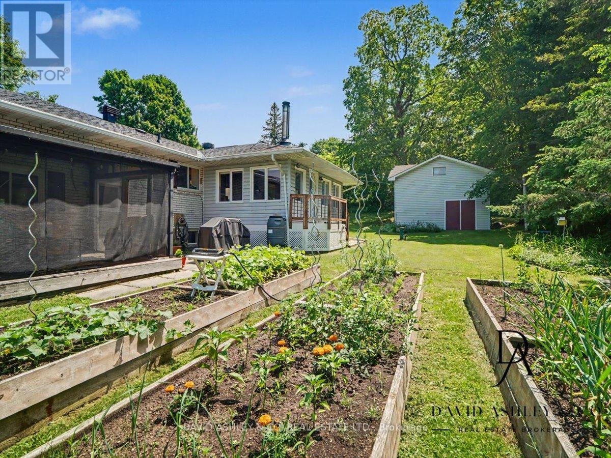 4 Queen Street Property Photo 30