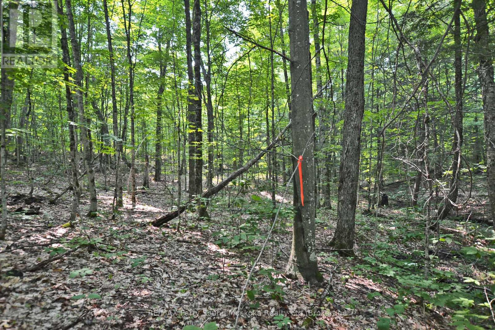 Part 1 - 0 Lyndsey Lane Property Photo 12