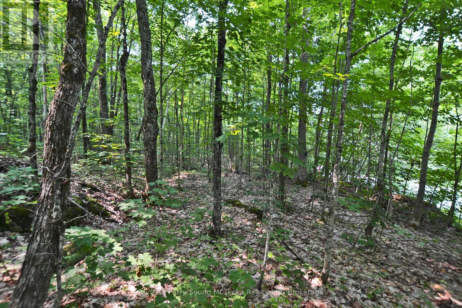 Part 1 - 0 Lyndsey Lane Property Photo 14