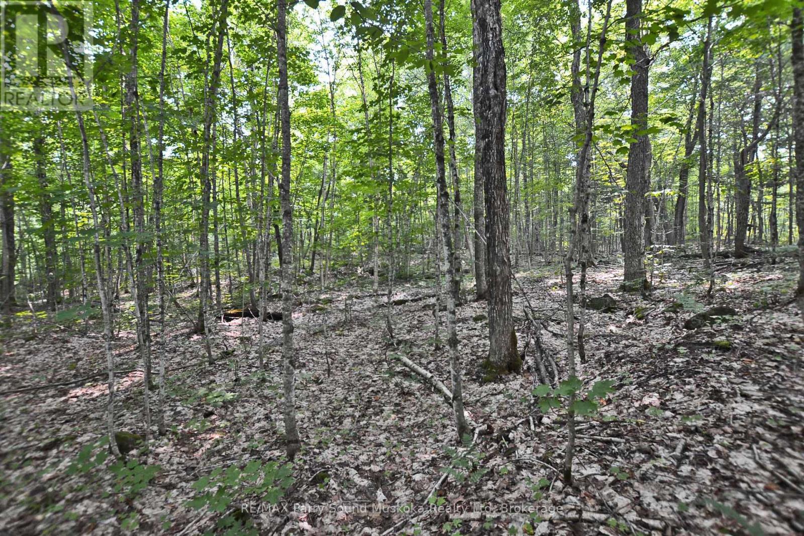 Part 1 - 0 Lyndsey Lane Property Photo 15