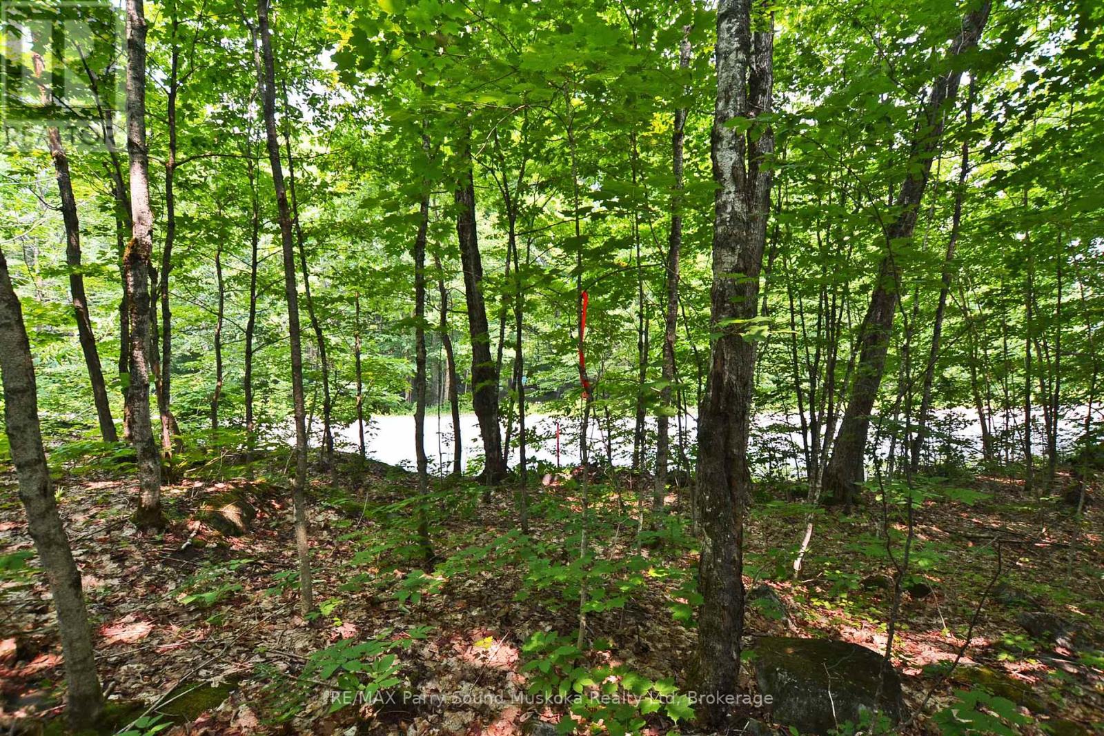 Part 1 - 0 Lyndsey Lane Property Photo 16