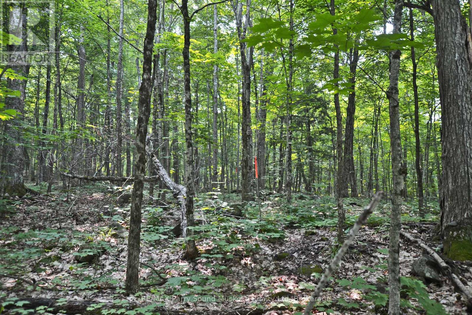 Part 1 - 0 Lyndsey Lane Property Photo 17