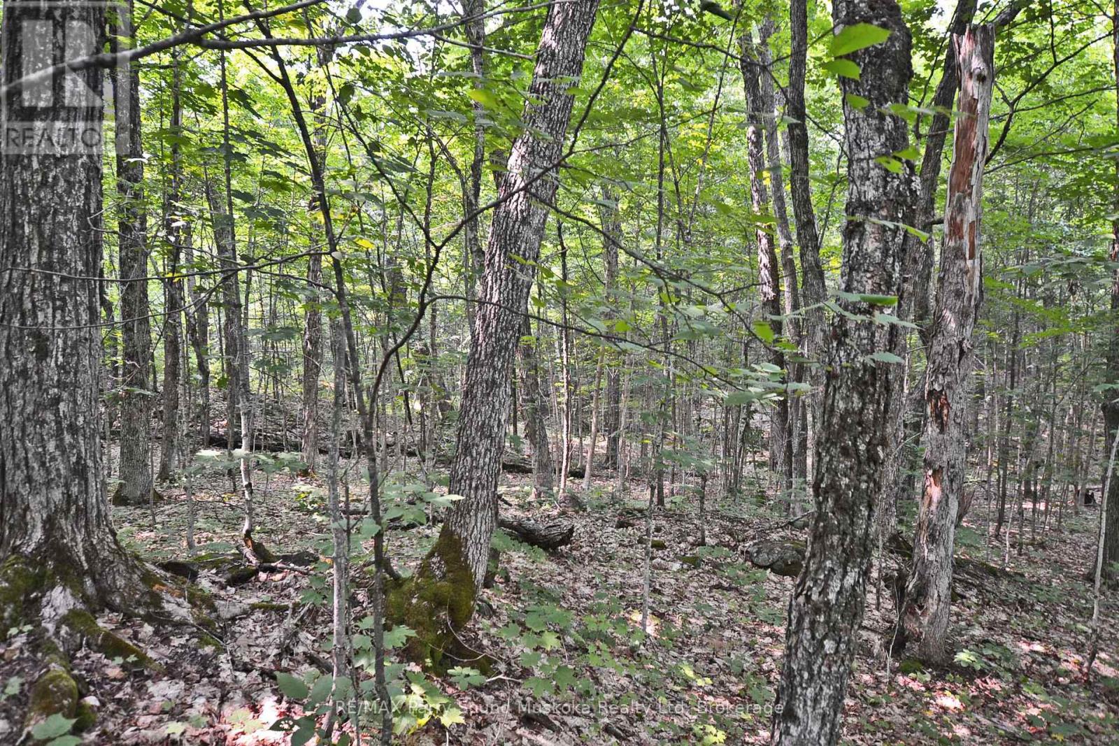 Part 1 - 0 Lyndsey Lane Property Photo 18