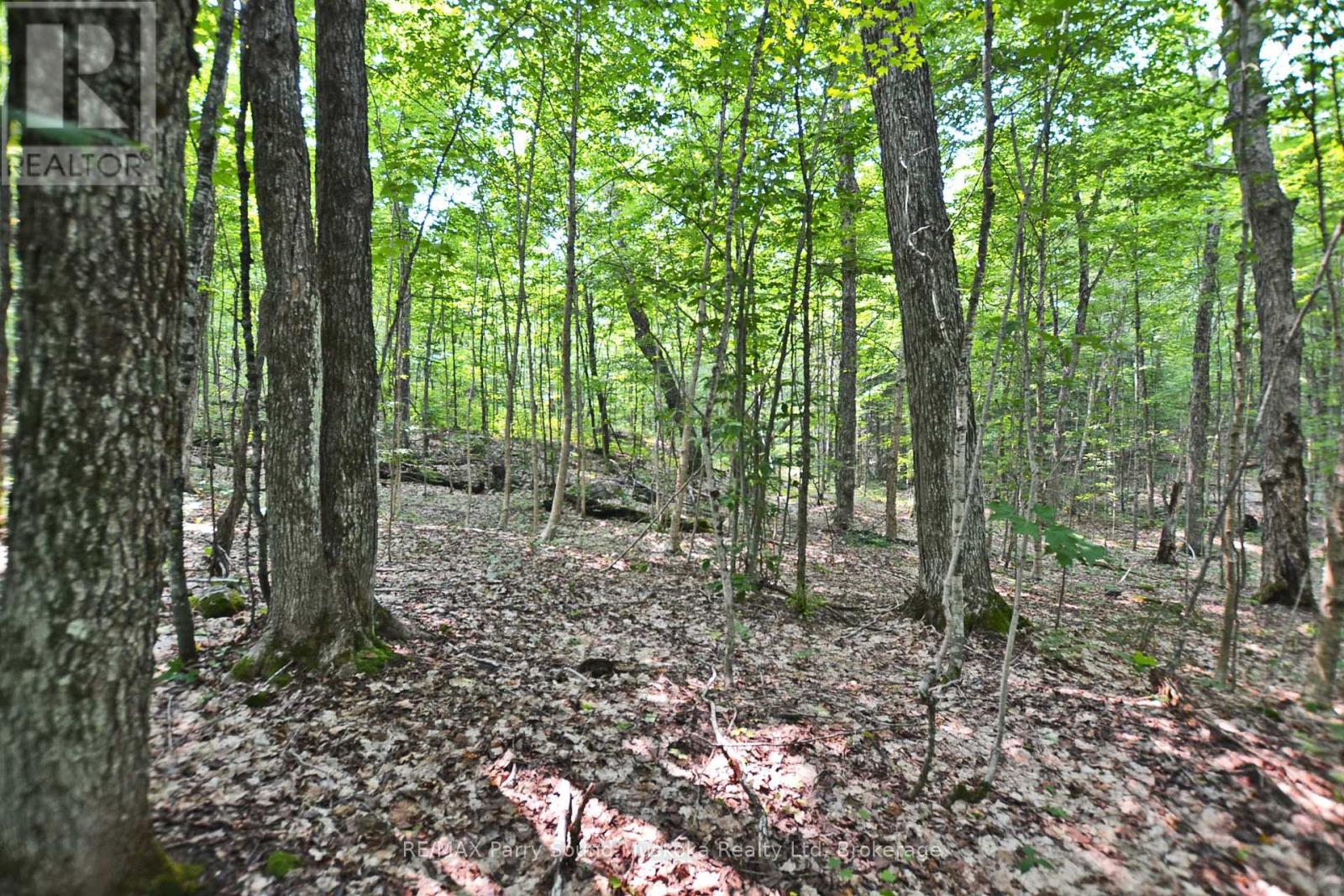 Part 1 - 0 Lyndsey Lane Property Photo 19