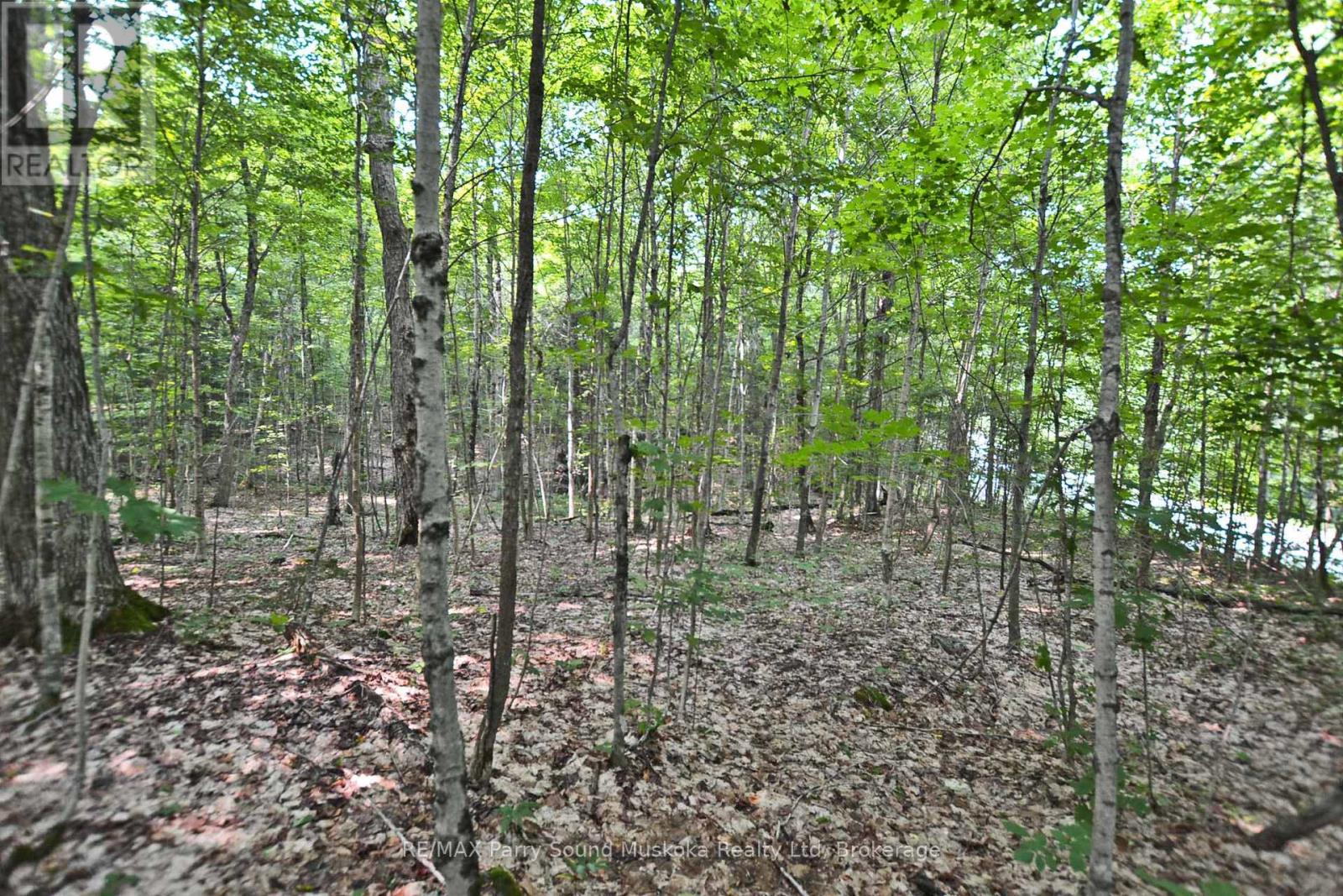 Part 1 - 0 Lyndsey Lane Property Photo 20