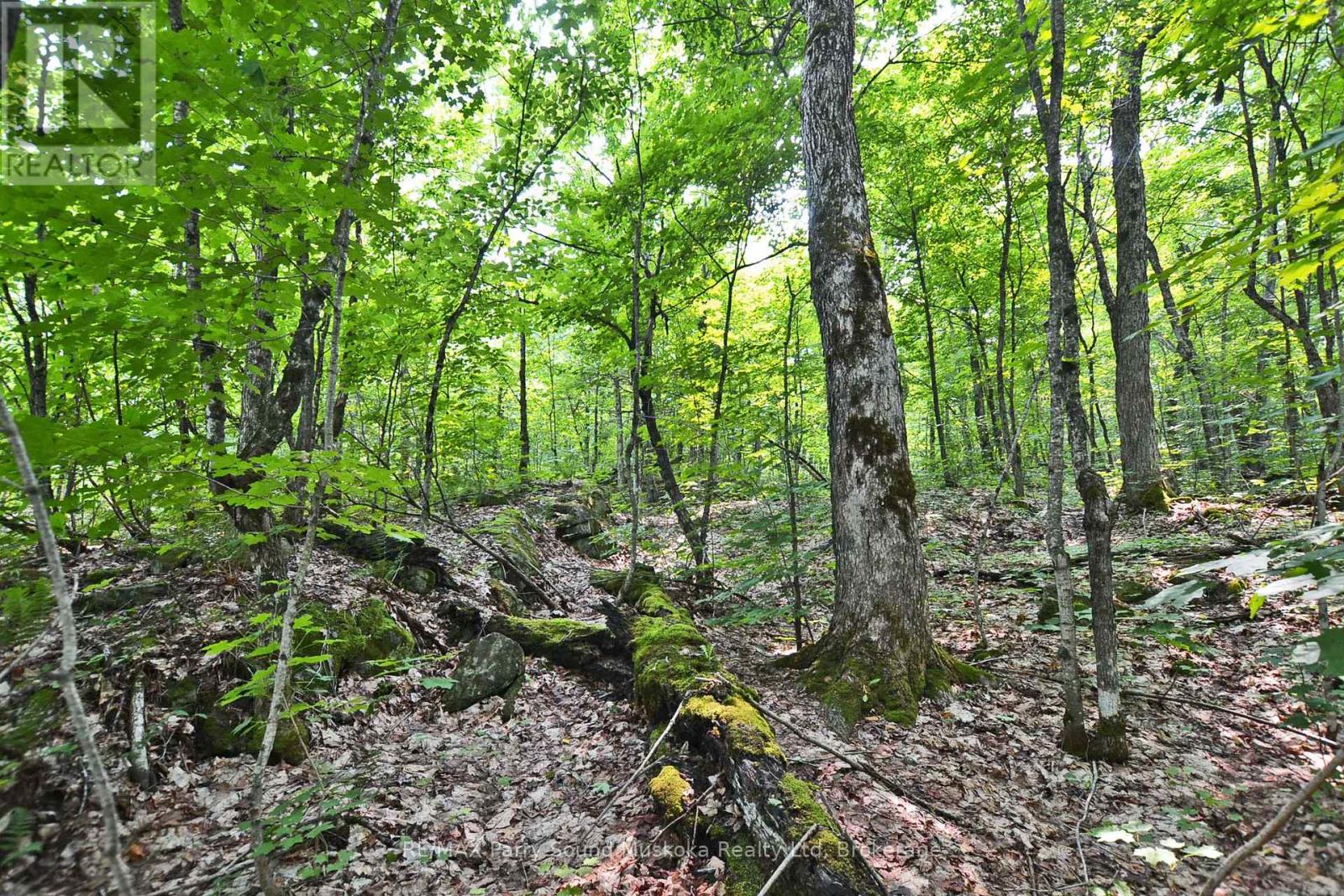Part 2 - 0 Lyndsey Lane Property Photo 13