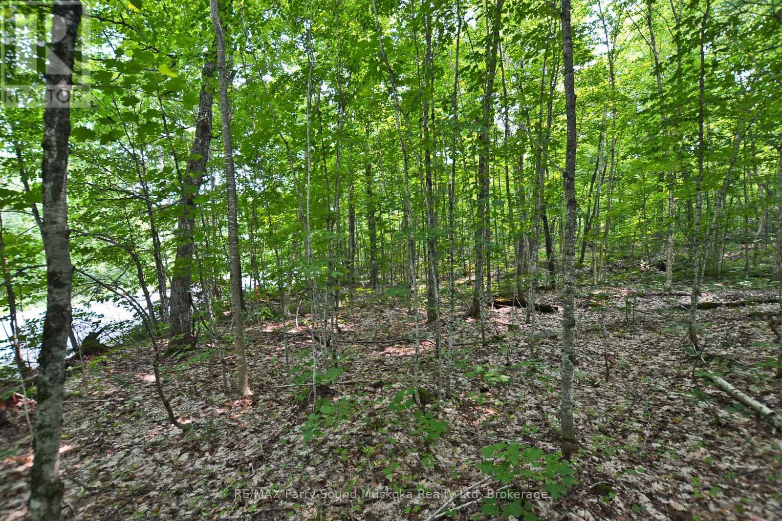 Part 2 - 0 Lyndsey Lane Property Photo 15