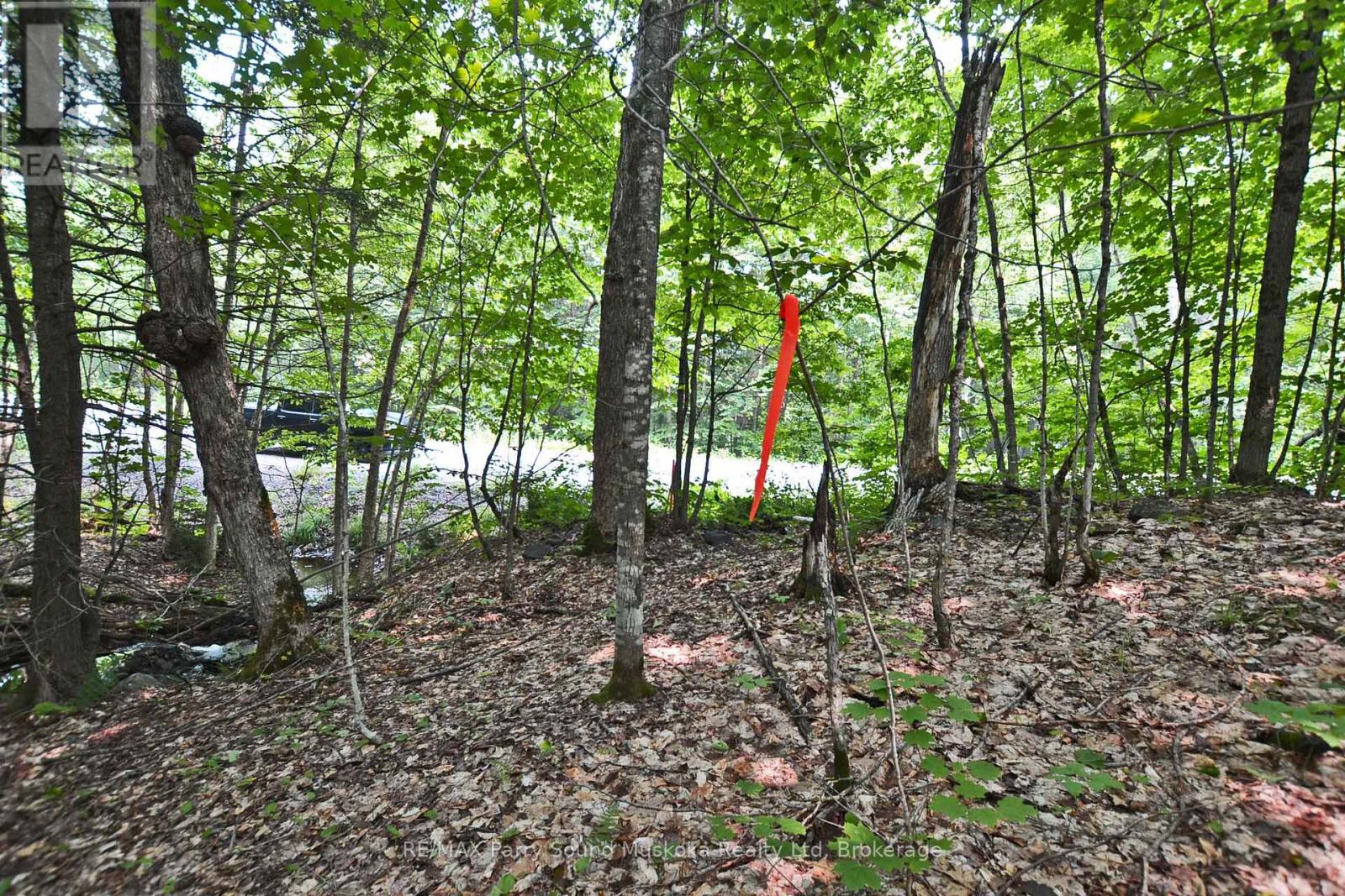Part 2 - 0 Lyndsey Lane Property Photo 20