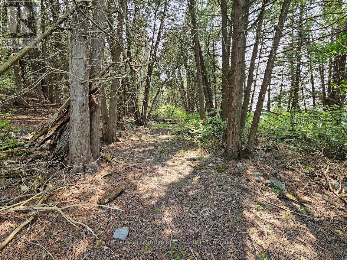 0000 Cedarstone Road W Property Photo 10