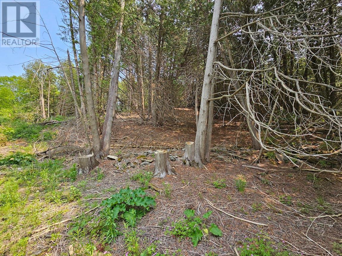 0000 Cedarstone Road W Property Photo 11